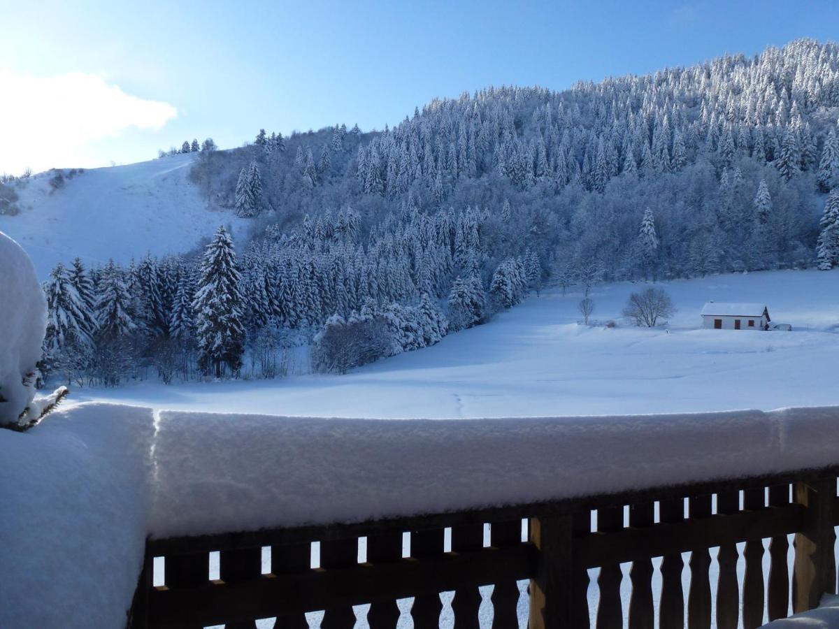 La Bresse Hautes Vosges Chalet "Le Piena" エクステリア 写真